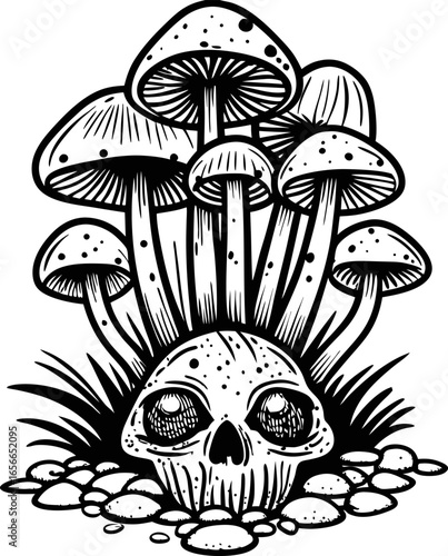 Skull with mushrooms growing from eye sockets and cranium surreal dark nature, fungi, earth, and decay concept illustration