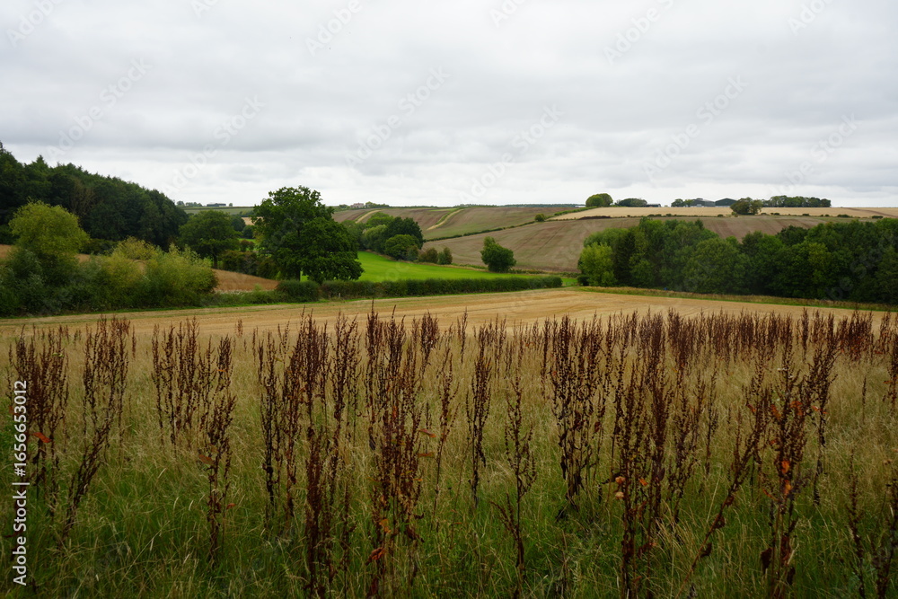 Obraz premium Beautiful autumn view of scenic rolling farmland and distant woodlands in Thurgarton, Nottinghamshire, England.