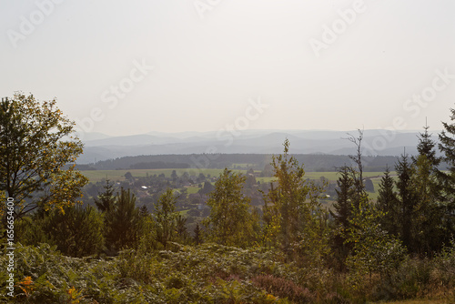 Panorama sur les Vosges