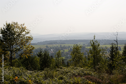 Panorama sur les Vosges