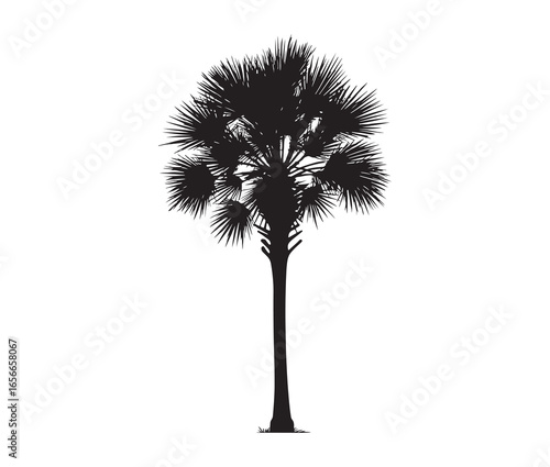 Palmetto tree silhouette on white background.