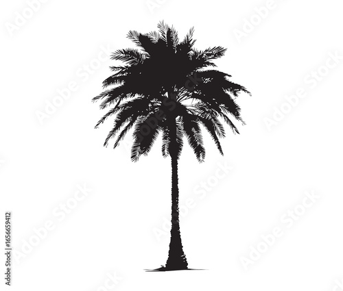 Palmetto tree silhouette on white background.