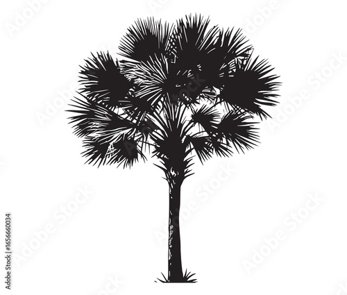 Palmetto tree silhouette on white background.