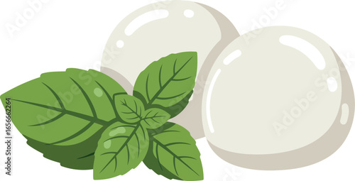 Fresh mozzarella balls paired with vibrant green basil leaves a classic italian ingredient combination for caprese salad and pizza