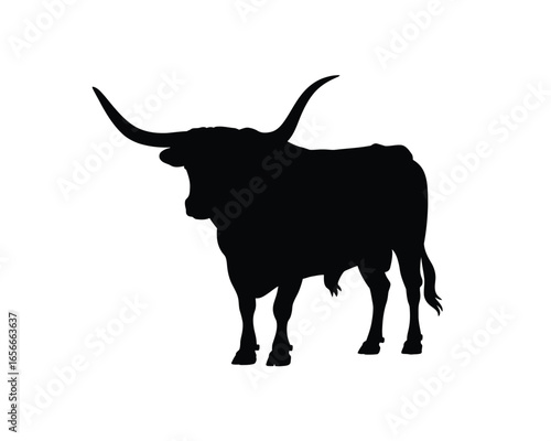 Silhouette of a powerful texas longhorn bull with impressive horns