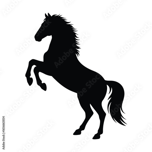 Majestic black horse silhouette rearing up on hind legs