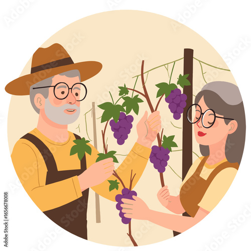 Elderly couple in vineyard. Seniors enjoying countryside together. Romantic walk through grapevines. Retired couple in wine country. Elderly set