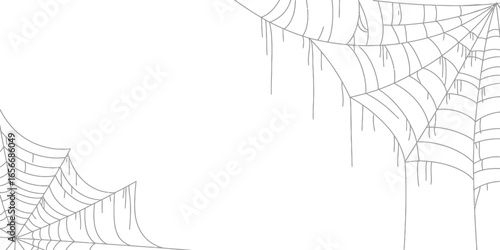 Two Grey Spiderwebs Hanging with Transparent Background Corner Elements Design