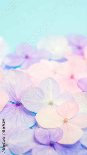 Soft pastel hydrangea petal floral abstract calming background meditation gentle blue pink purple