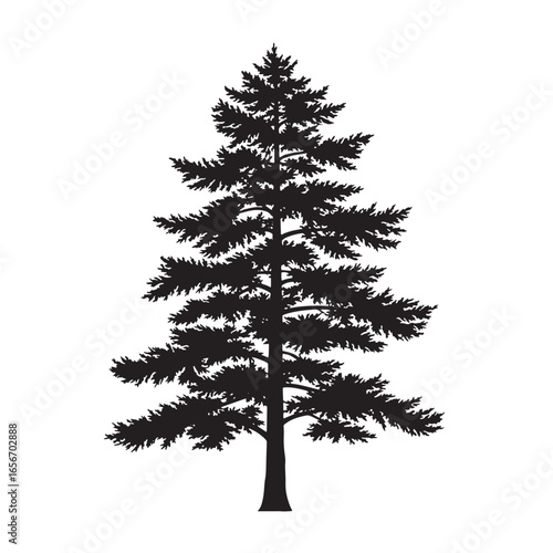 Silhouette of a detailed evergreen pine tree vector illustration isolated on white