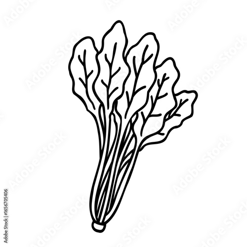 かわいい手描きのほうれん草イメージイラスト
