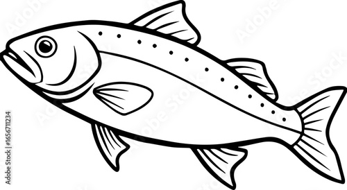 coral trout outline vector illustration line art