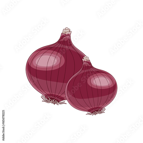 red onion isolated on white background