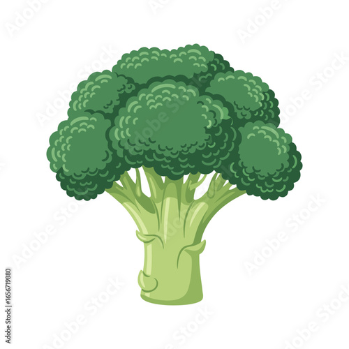 broccoli isolated on white background