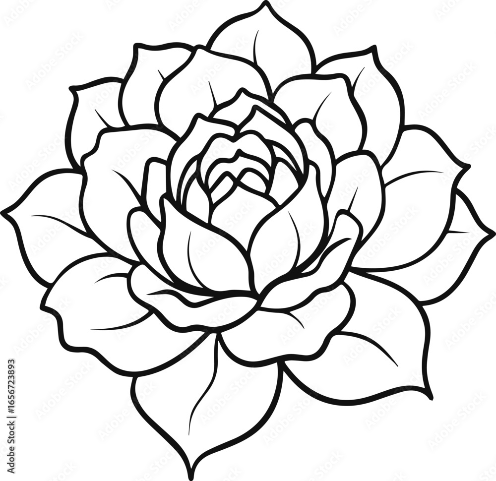 Fototapeta premium peony flower outline vector illustration line art