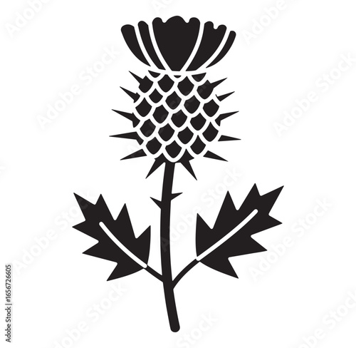Elegant black silhouette illustration of a thistle flower symbol with leaves and stem