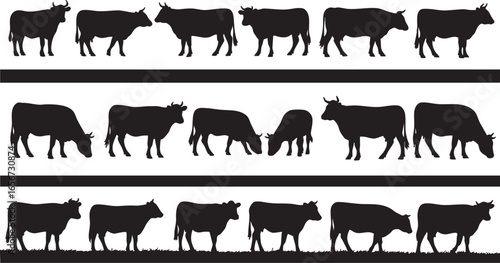 Collection of cow silhouettes in various poses cattle, cow, cattle, bovine, animal, livestock, silhouette, black and white, graphic, illustration, vector, nature, mammal, farm animal, domestic animal,