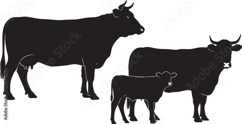 Silhouettes of cows and calf on white background cattle, cow, cattle, calf, bovine, livestock, farm, animal, mammal, agriculture, dairy, beef, silhouette, black, white, isolated, graphic, design, illu