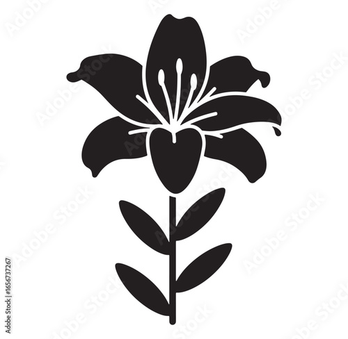 Elegant silhouette of a lily flower in black and white isolated on white background