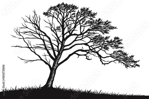 Tree and Bird on a Hill: A Serene Nature Vector Illustration