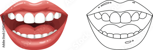 Open mouth with healthy teeth laughter joy