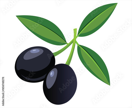 Two Black Olives on a Branch with Green Leaves Illustration