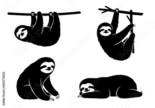 Four sloth illustrations depicting hanging, sitting, and sleeping postures on a white presentation