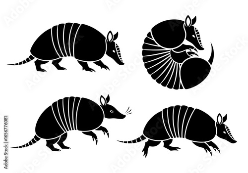 Four armadillo illustrations showcasing different poses and positions of the animal species art drawing