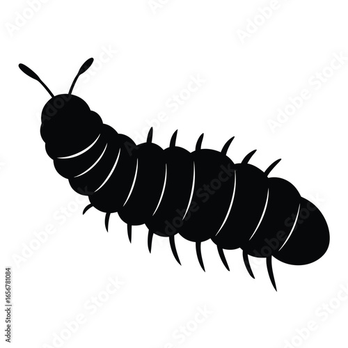 insect vector