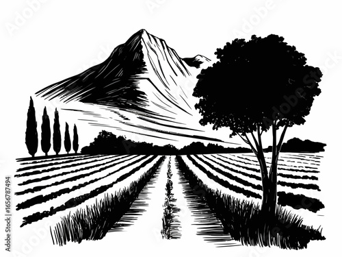 Monochrome illustration of vineyard landscape with mountain backdrop serene vista of cultivated fields and natures grandeur timeless charm