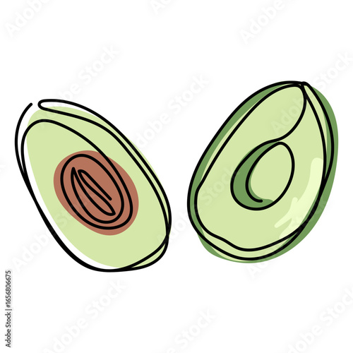 Color avocado fruit