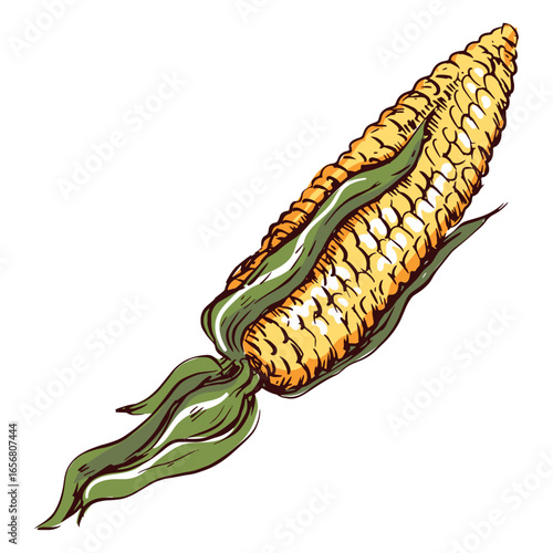 Detailed corn illustration corn