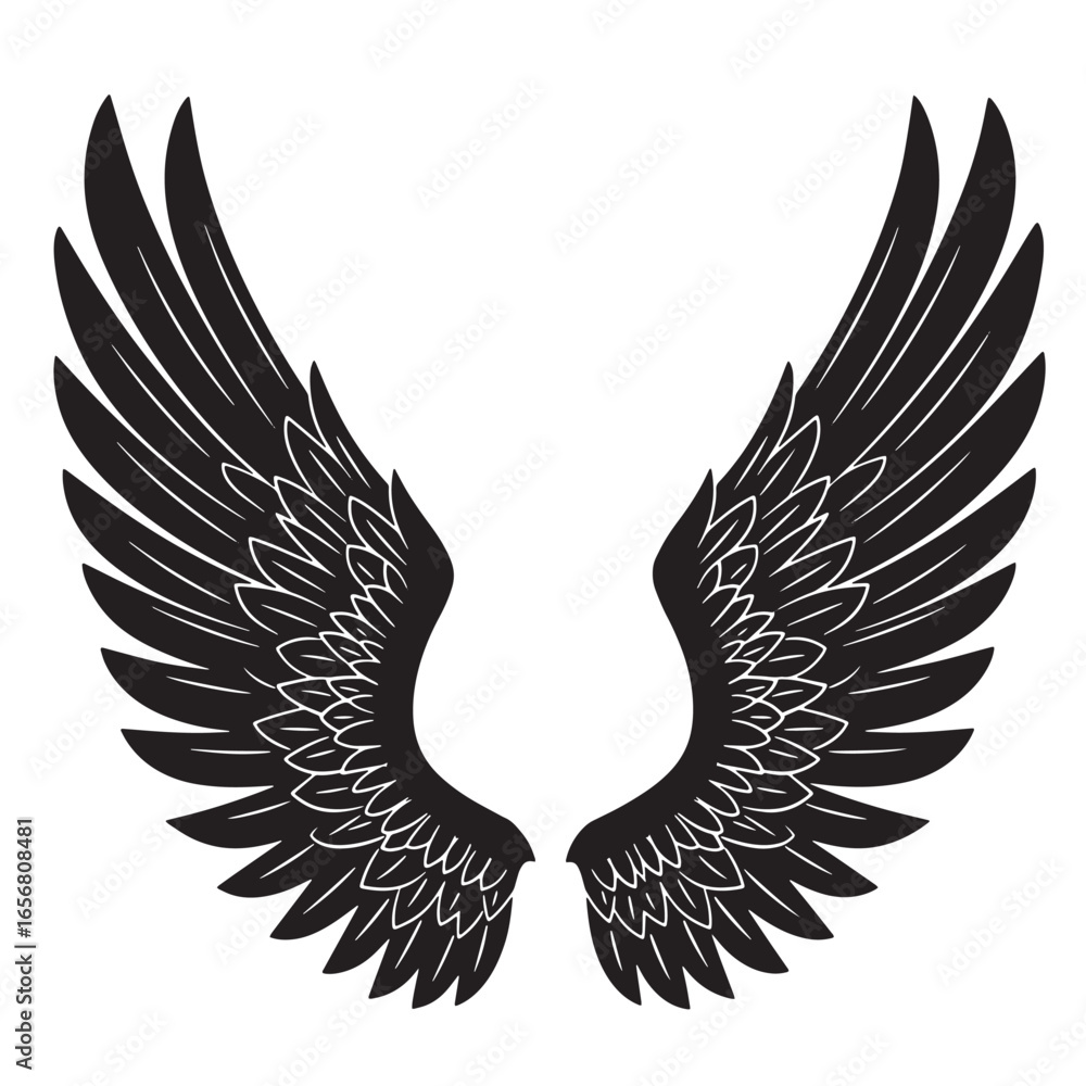Obraz premium Vector illustration of elegant black and white angel or bird wings on white background