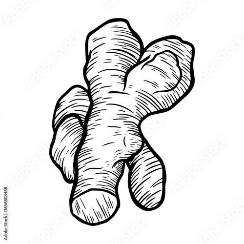 Ginger drawn simple