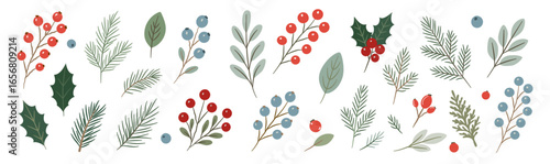 Hand-drawn winter botanical vector set with holly, pine branches, red berries, mistletoe and leaves. Flat modern Christmas clipart for holiday decoration and design.