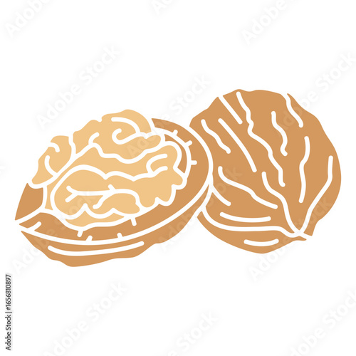 Nutshell cut out food
