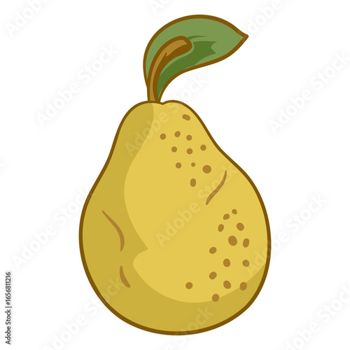 Pear illustration food