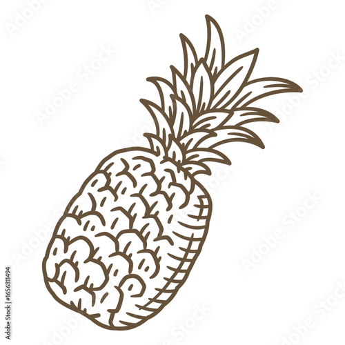 Pineapple fruit hand drawn