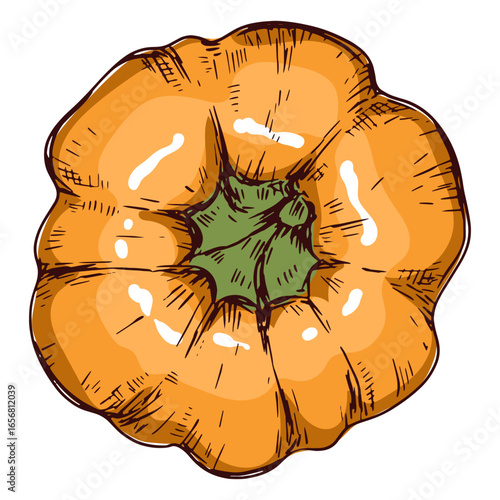 Pumpkin from above illustration