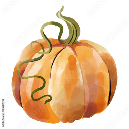 Pumpkin watercolor