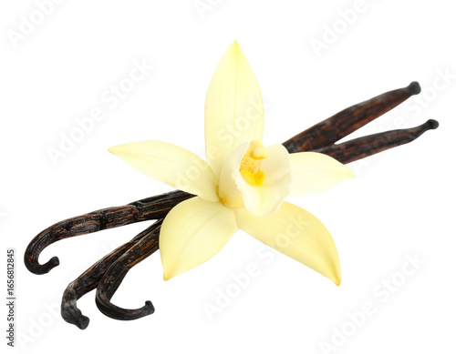 Close-Up of Vanilla Pods and Flower for Natural Flavor Concept