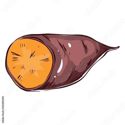 Sliced sweet potato illustration sweet potato