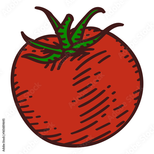 Tomato ingredient color stroke