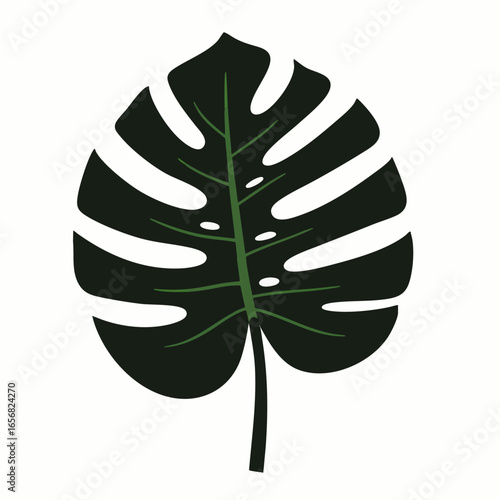 A beautifully illustrated dark green Monstera deliciosa leaf showcases its iconic split-leaf design, perfect for tropical and botanical themes.