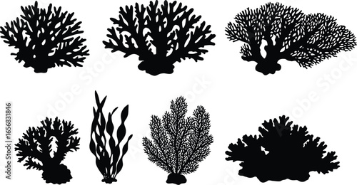 Seaweed and Coral Silhouette Vector Seamless Pattern on Transparent Background pattern featuring seaweed coral striking silhouette style The image has transparent background making easy for