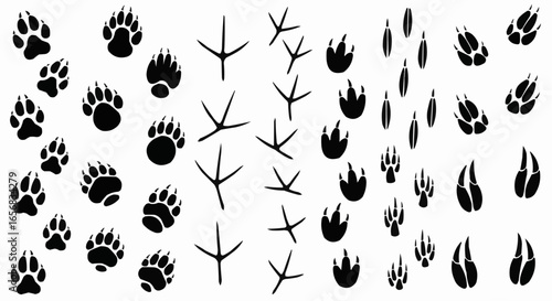Paw print silhouette isolated on white background