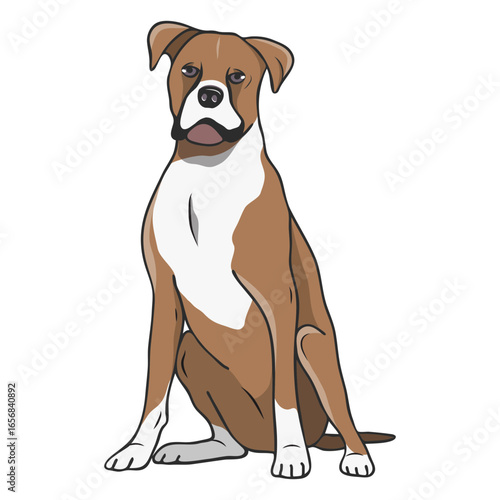 Boxer dog illustration