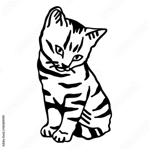 Cat stripe whisker sitting stroke