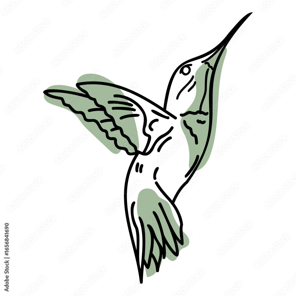 Fototapeta premium Color stroke semi colored hummingbird flying