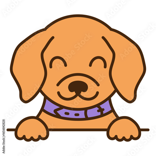 Dog with a purple collar sitting